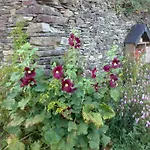 Landhuis Le Moulin D' Eree, Insolite De Charme Soudan (Loire-Atlantique)