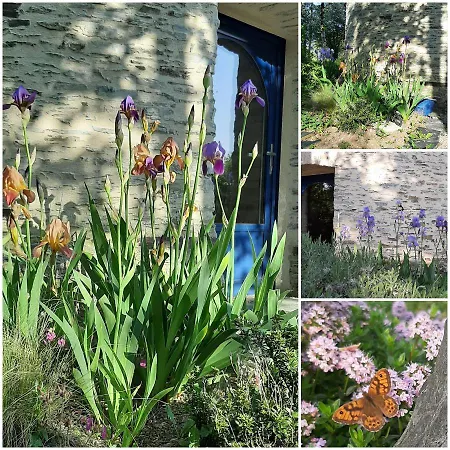 Le Moulin D' Erée, Insolite De Charme Séjour à la campagne Soudan (Loire-Atlantique)