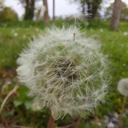 Le Moulin D' Eree, Insolite De Charme *