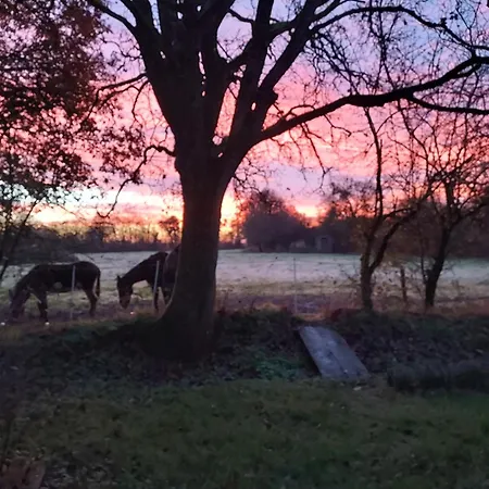 Le Moulin D' Eree, Insolite De Charme *