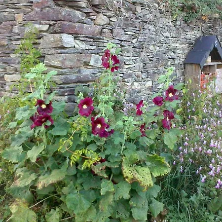 Venkovský dům Le Moulin D' Eree, Insolite De Charme Soudan (Loire-Atlantique)