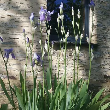 Le Moulin D' Eree, Insolite De Charme *
