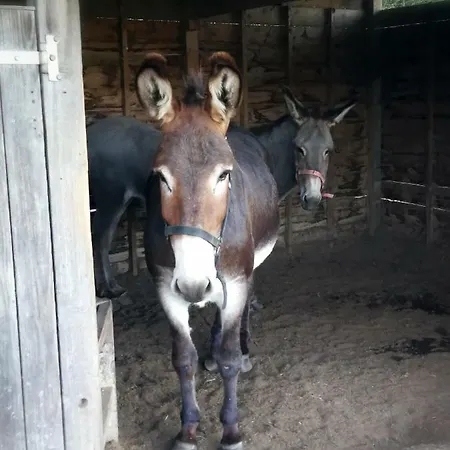 Le Moulin D' Eree, Insolite De Charme Landhuis