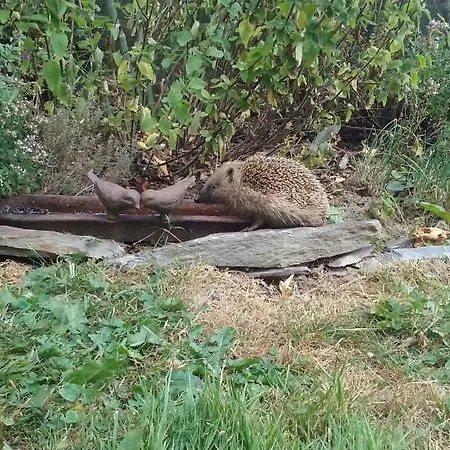 Le Moulin D' Erée, Insolite De Charme Séjour à la campagne Soudan (Loire-Atlantique)