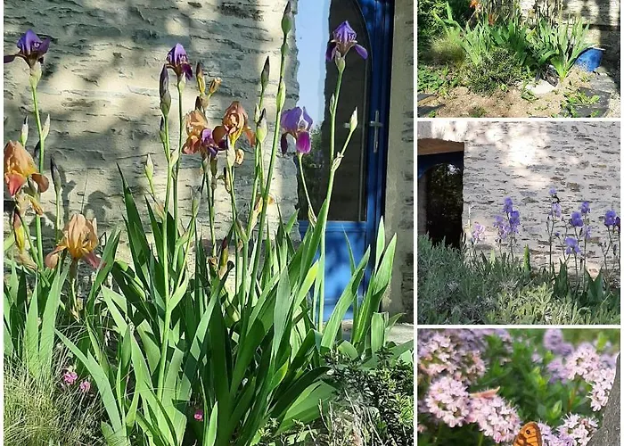 Le Moulin D' Eree, Insolite De Charme Kır Evi Soudan (Loire-Atlantique)