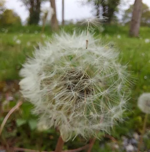 Le Moulin D' Eree, Insolite De Charme *