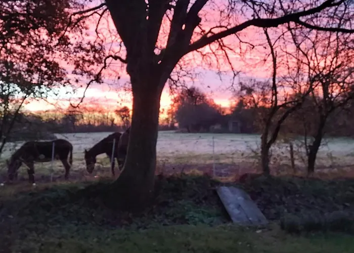 Le Moulin D' Eree, Insolite De Charme *