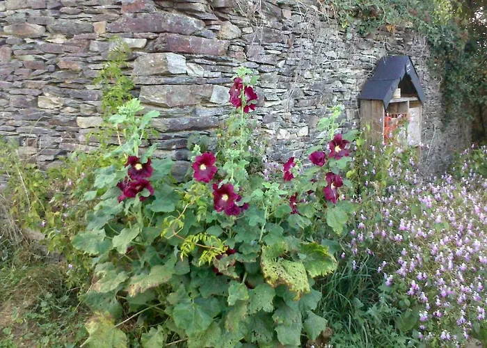 Kır Evi Le Moulin D' Eree, Insolite De Charme Soudan (Loire-Atlantique)