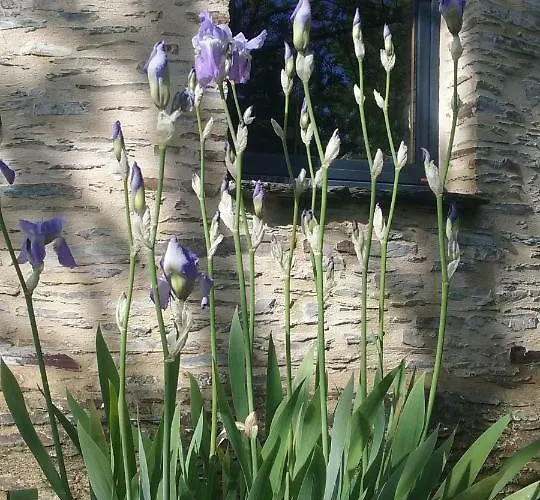 Le Moulin D' Eree, Insolite De Charme *