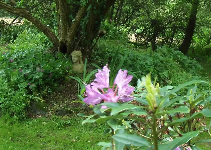 Le Moulin D' Eree, Insolite De Charme Kır Evi